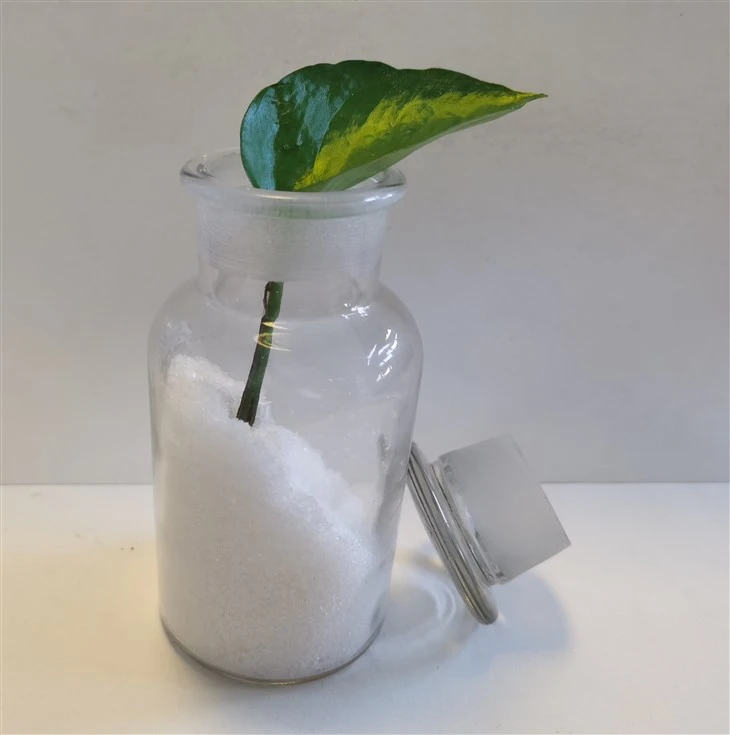 Tetrahydrate Níotráit Chailciam Mear-Uisce Ghníomhach-Foinse Intuaslagtha Cailciam agus Nítrigine