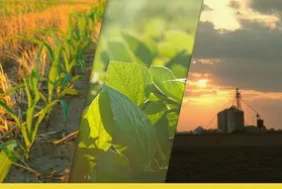 Cén chaoi a bhfuil Agrifields ag tógáil feirmeora - agri - éiceachóras ionchuir