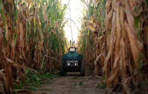 Díríonn Upside Robotics ar dhramhaíl leasacháin in arbhar le róbait uathriala...