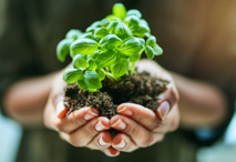 Ceanada: Nochtann táirgí Loveland réitigh barr nua d'fheirmeoirí Cheanada